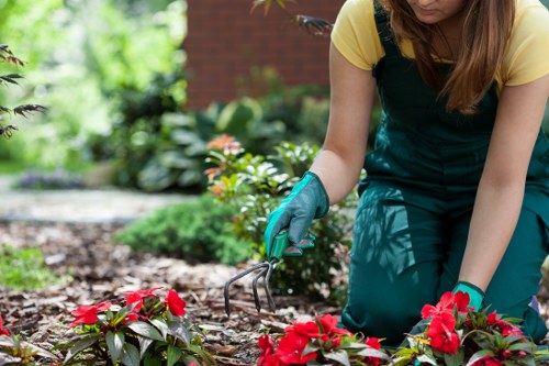 Urban tree care near Blackfriars buildings and narrow access areas