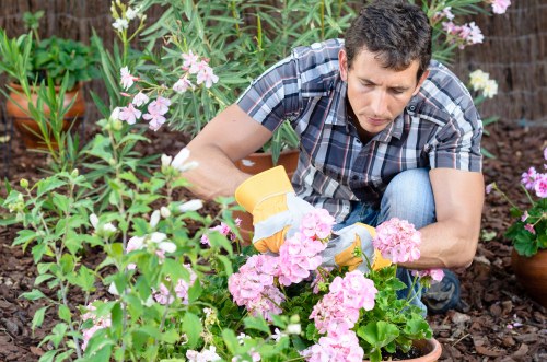Charity partnership supporting reuse of timber and mulch